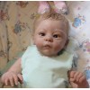 Realistic 21'' Janelle Reborn Baby Doll - Great for Baby Christmas Gifts