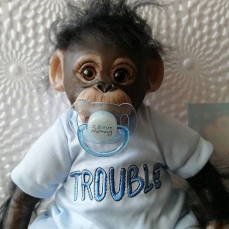 Lifelike Baby Monkey Reborn Doll Named Philipy
