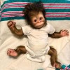Truly Aref  Baby Monkey Reborn Doll