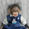 Realistic  Baby Monkey Reborn Doll Named Shahnia