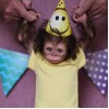 Realistic  Baby Monkey Reborn Doll Named Aniello