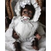 Jamien Poseable Hugging Monkey Doll With Plush Ball