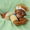 Poseable Lifelike Baby Monkey Reborn Doll Named Kareny